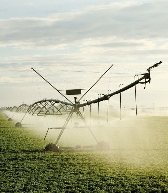 آبیاری مه پاشی