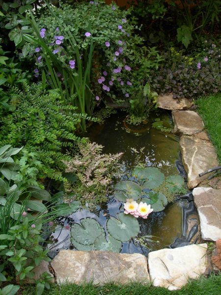 افزودن آبنماهای کوچک و طبیعی